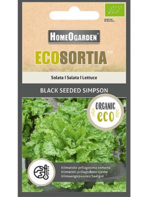 ORGANSKO SJEME ECOSORTIA SALATA BLACK SEEDED SIMPSON