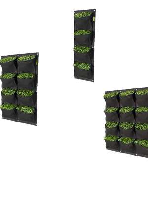 VERTIKALNA SAKSIJA 4