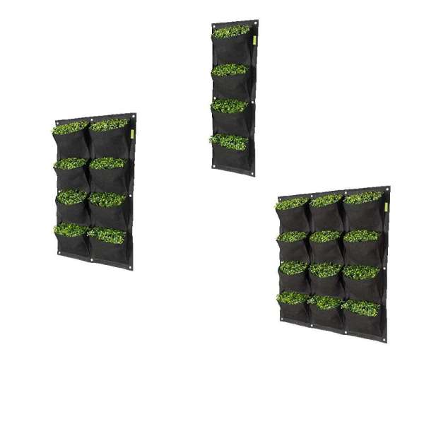 VERTIKALNA SAKSIJA 4