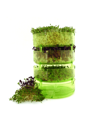 POSUDA ZA NAKLIJAVANJE GEO