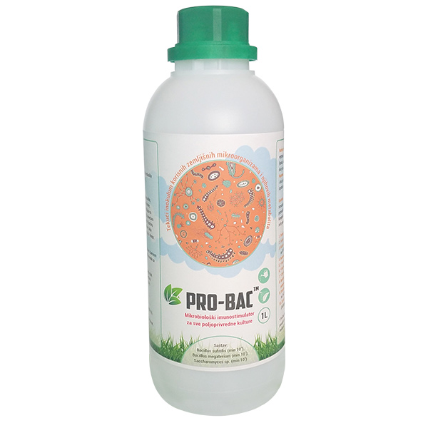 probac-canvas PRO-BAC 1L
