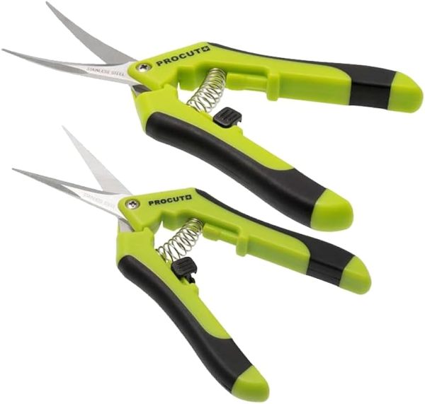 MAKAZE CURVED BLADES